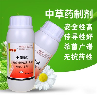 生物農(nóng)藥潰腐靈 草莓枯黃萎病的綠色克星與技術研發(fā)前沿